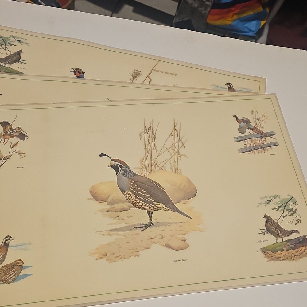 Vintage Eckelberry Bird PlacematSet Quail Pheasant Wildlife Sporting Lodge Decor - Picture 5 of 10